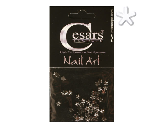 Cesars Nail Art "Flowers" Silber 50 Stk