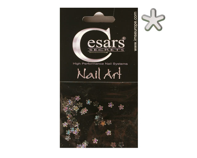 Cesars Nail Art "Flowers" Rainbow 50 Stk